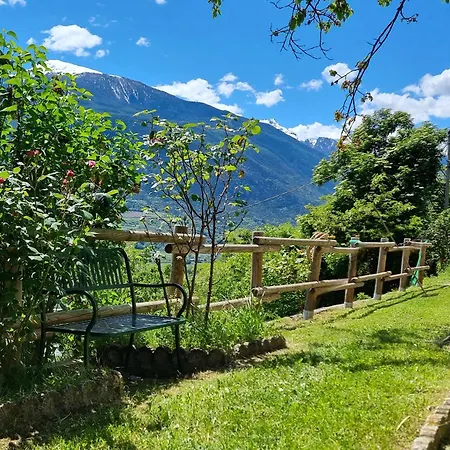 Casa Le Vignole - Casa de Férias