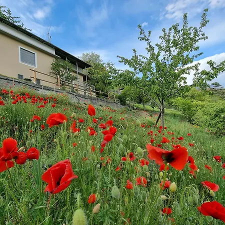Holiday home Casa Le Vignole - Aosta